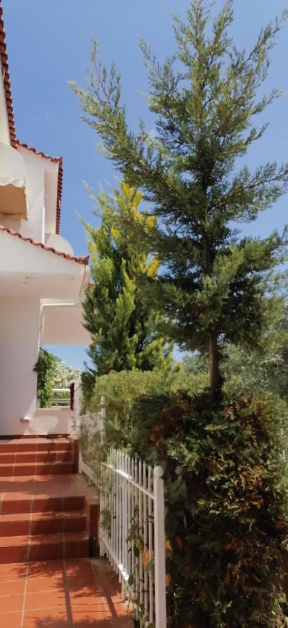 Ευχάριστη Βίλα Στη Χαλκίδα Στην Περιοχή "Αλυκές" Exterior photo